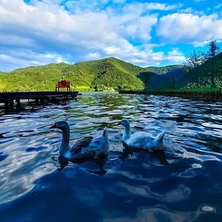 Pliva * Jajce