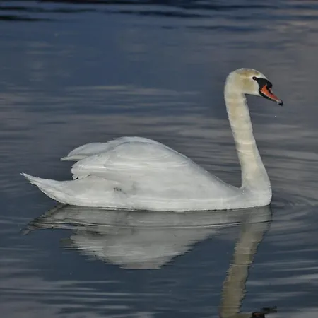 Pliva Apartment Jajce